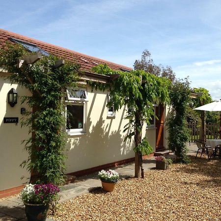 Ashford House B&B Wells Εξωτερικό φωτογραφία