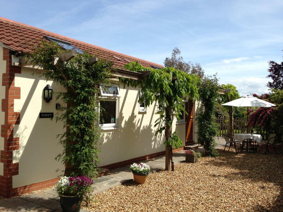 Ashford House B&B Wells Εξωτερικό φωτογραφία